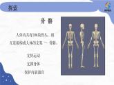 5.4.2《身体的运动》 课件+教案