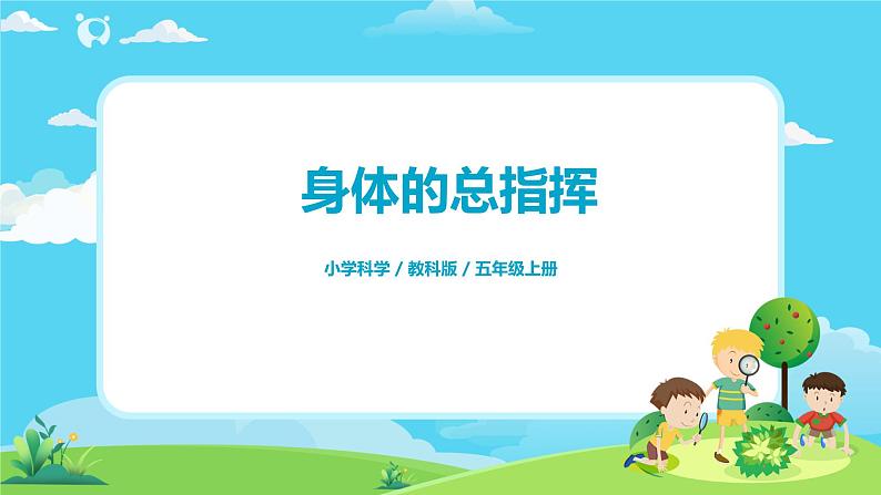5.4.4《身体的总指挥》课件第1页
