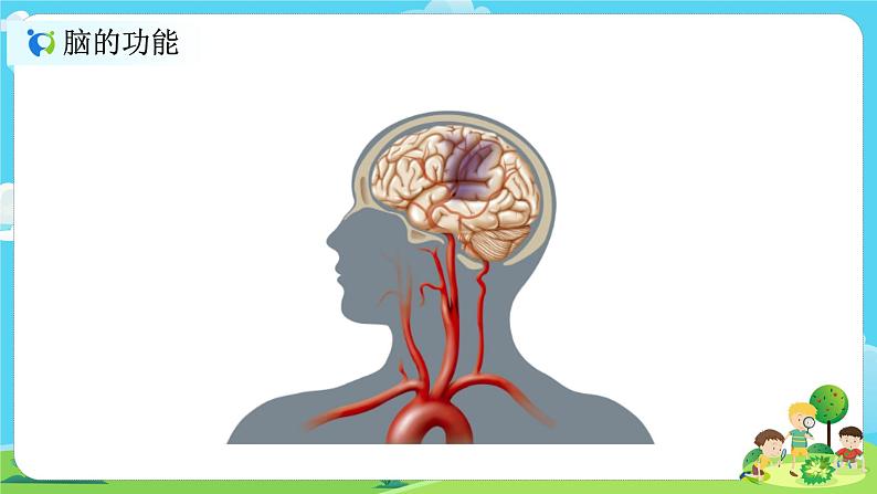 5.4.4《身体的总指挥》课件第6页