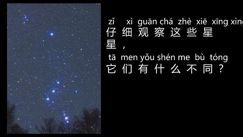 苏教版 (2017)  二年级上册科学 6.数星星 课件第7页