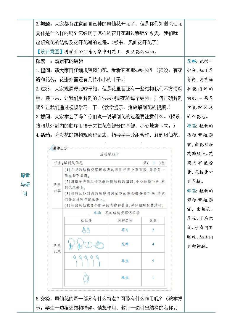 教科版四年级下册科学第一单元植物的生长变化《第5课 凤仙花开花了》教案02