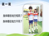 小学科学教科版二年级下册2.2.1 观察我们的身体课件