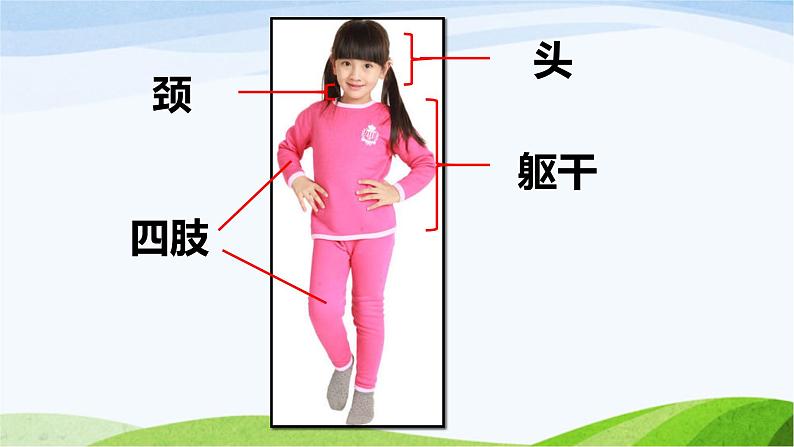 小学科学教科版二年级下册2.2.1 观察我们的身体课件第3页