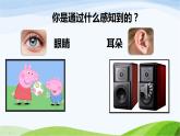 小学科学教科版二年级下册2.2.2 通过感官来发现课件