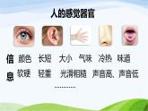 小学科学教科版二年级下册2.2.2 通过感官来发现课件