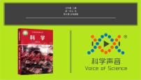 教科版 (2017)五年级上册5.认识棱镜课堂教学课件ppt