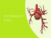 小学科学教科版五上第4单元第3课-心脏和血液课件+生动视频