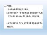 小学科学教科版五年级下册第一单元第2课《比较种子发芽实验》习题课件（2022新版）