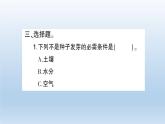 小学科学教科版五年级下册第一单元第2课《比较种子发芽实验》习题课件（2022新版）
