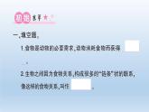 小学科学教科版五年级下册第一单元第6课《食物链和食物网》习题课件（2022新版）