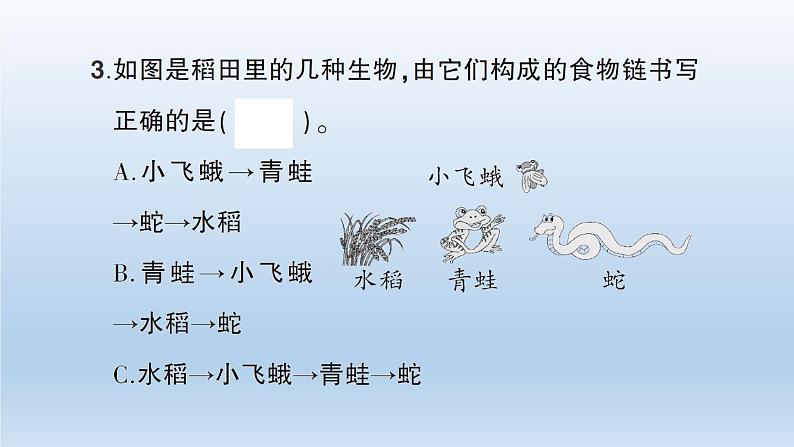 小学科学教科版五年级下册第一单元第6课《食物链和食物网》习题课件（2022新版）第8页