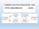 小学科学教科版五年级下册第一单元《生物与环境》综合训练课件（2022新版）