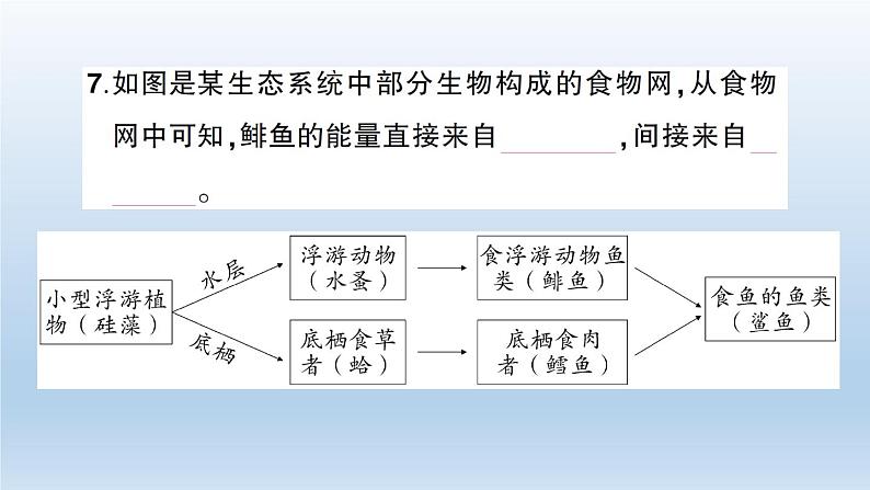 小学科学教科版五年级下册第一单元《生物与环境》综合训练课件（2022新版）05