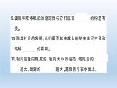 小学科学教科版五年级下册第二单元《船的研究》期末复习课件（2022新版）