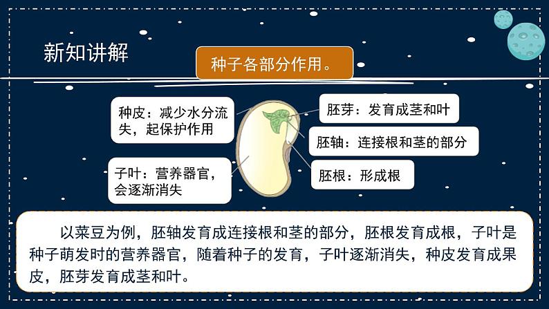 12《用种子繁殖》教学PPT05