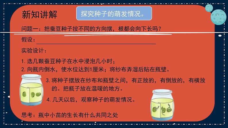 12《用种子繁殖》教学PPT06