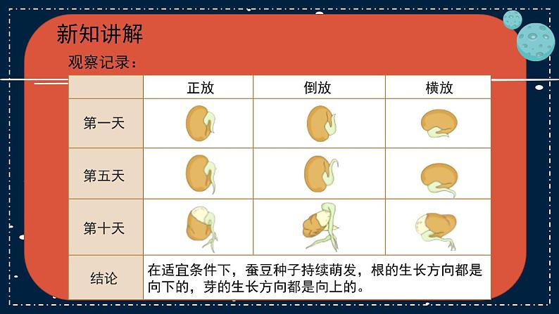 12《用种子繁殖》教学PPT07