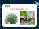 14《动物的繁殖》教学PPT