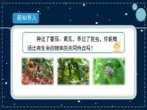 15《生物与非生物》教学PPT