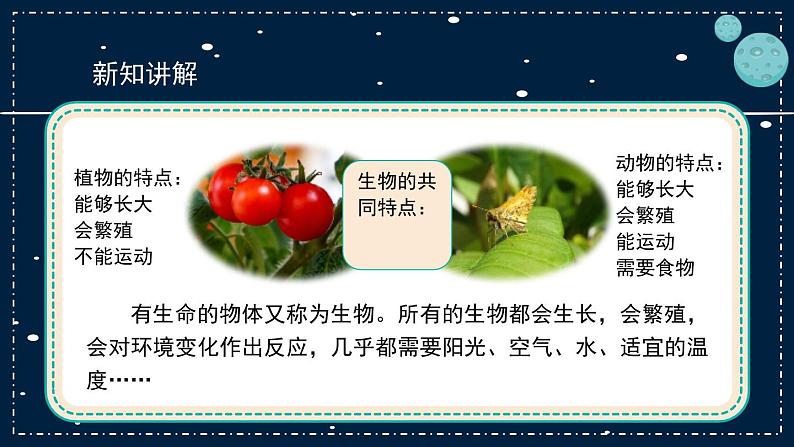 15《生物与非生物》教学PPT第4页