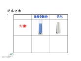 2.6《化学变化伴随的现象》PPT