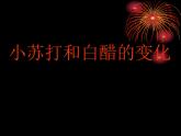 2.4小苏打和白醋的变化课件PPT