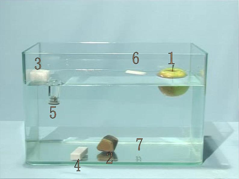 1.2沉浮与什么因素有关课件PPT第4页