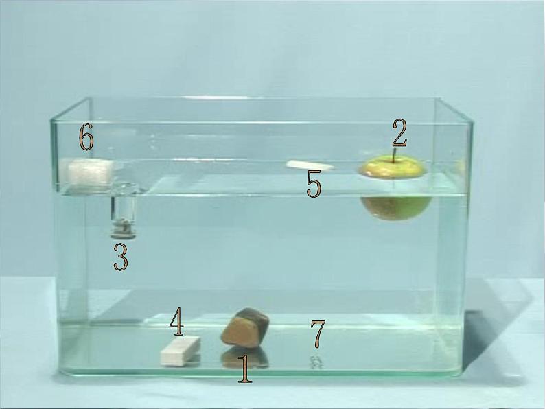 1.2沉浮与什么因素有关课件PPT第6页