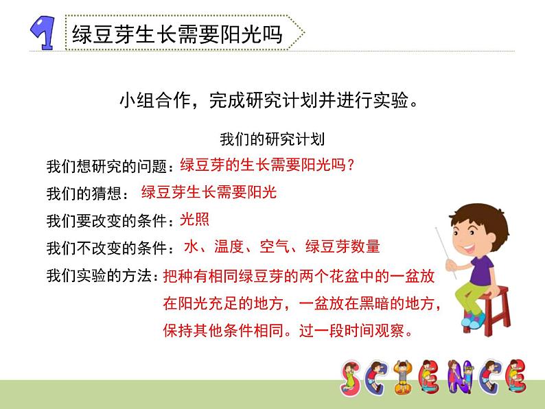 教科版小学五年级科学绿豆苗的生长PPT课件第3页