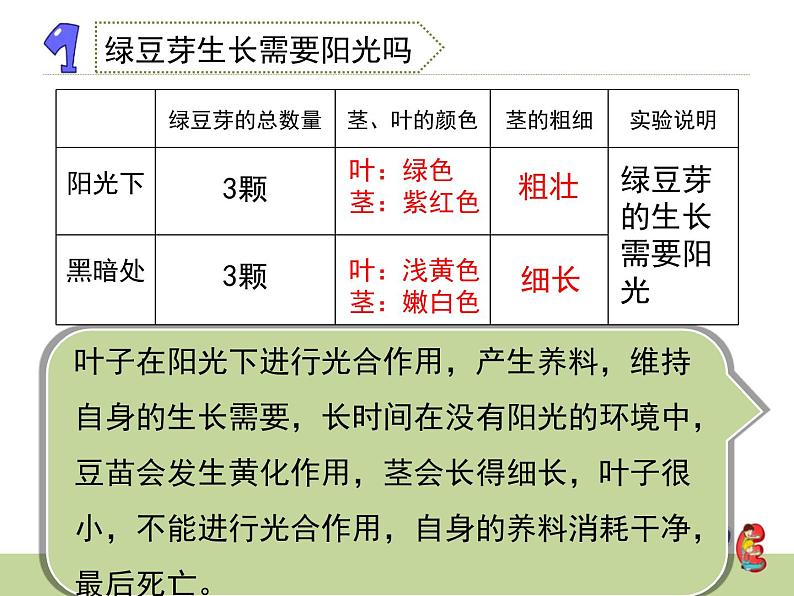 教科版小学五年级科学绿豆苗的生长PPT课件第4页