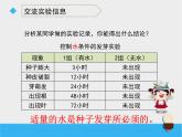 科教版小学科学五年级比较种子发芽实验PPT课件