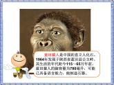 小学科学湘教版六年级下册第一单元_3 人类的起源_教学课件+视频素材