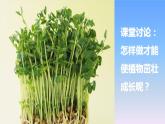 冀教版小學(xué)科學(xué)二下第3單元 第9課-種豆子 課件