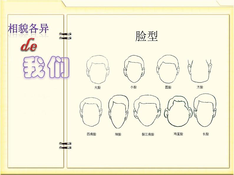 4.5相貌各异的我们课件PPT05