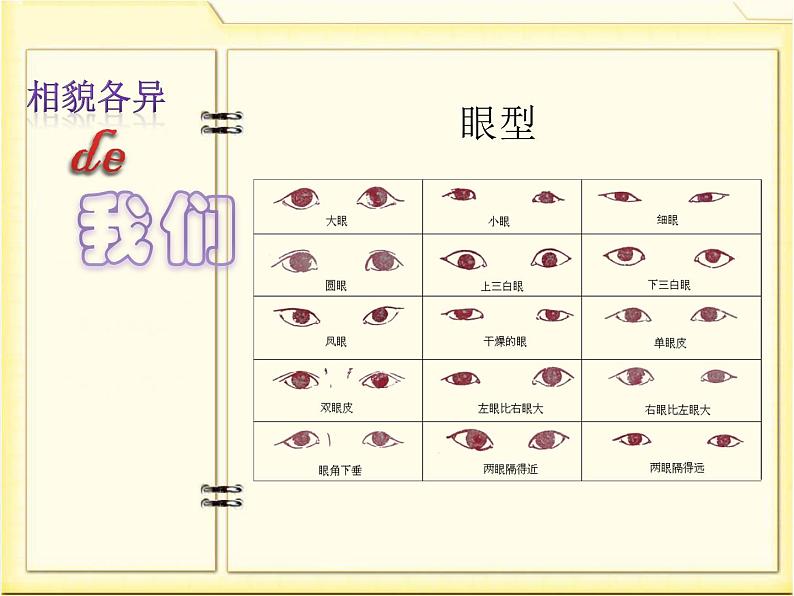 4.5相貌各异的我们课件PPT06