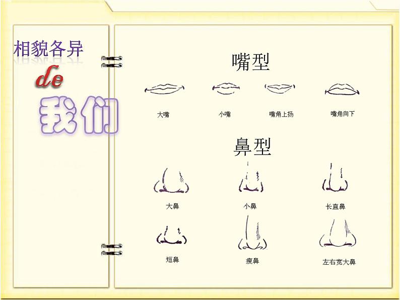 4.5相貌各异的我们课件PPT07