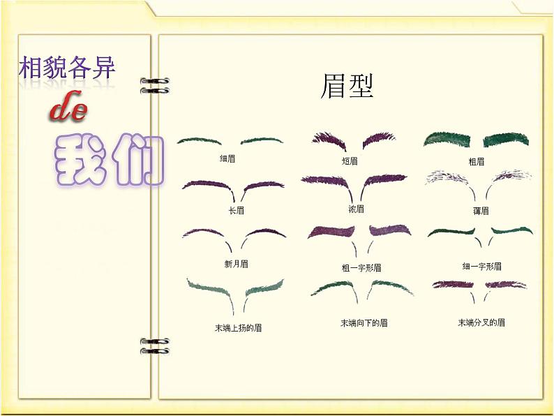 4.5相貌各异的我们课件PPT08