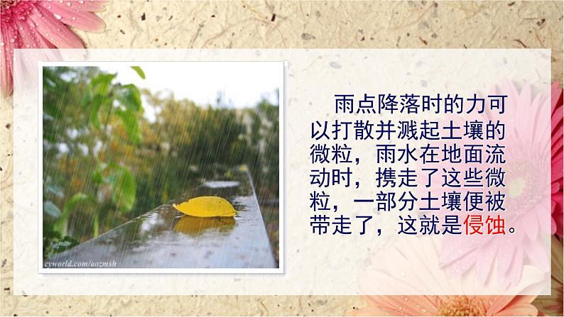 3.5雨水对土地的侵蚀课件PPT第7页