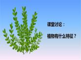 冀人版科學(xué)三下第1單元第2課-樹與草 教學(xué)課件PPT+視頻