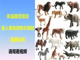 冀人版科學(xué)三下第1單元第4課-種類繁多的動(dòng)物 教學(xué)課件PPT+視頻