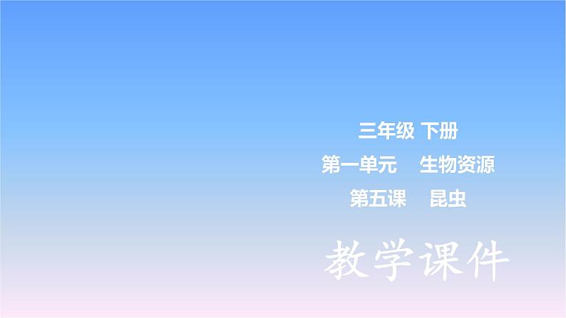 冀人版科学三下第1单元第5课-昆虫 教学课件PPT+视频01