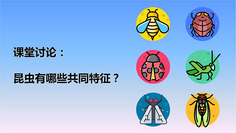 冀人版科学三下第1单元第5课-昆虫 教学课件PPT+视频02