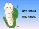 冀人版科學三下第1單元第5課-昆蟲 教學課件PPT+視頻