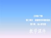 冀人版科學(xué)三下第2單元第6課-仙人掌與蓮 教學(xué)課件PPT+視頻
