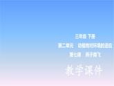 冀人版科學(xué)三下第2單元第7課-燕子南飛 教學(xué)課件PPT+視頻