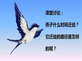 冀人版科學(xué)三下第2單元第7課-燕子南飛 教學(xué)課件PPT+視頻