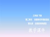 冀人版科学三下第2单元第9课-动物的特殊感官 教学课件PPT+视频