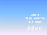 冀人版科學(xué)三下第3單元第10課-蜜蜂傳粉 教學(xué)課件PPT+視頻