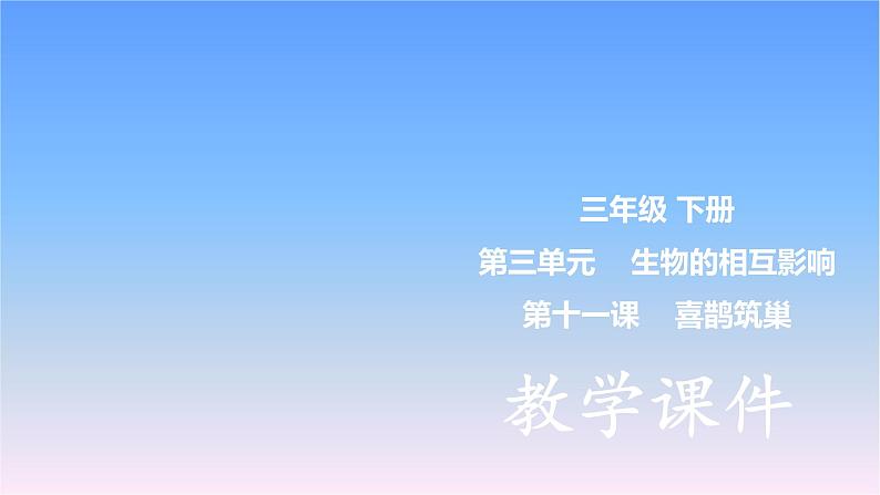 冀人版科学三下第3单元第11课-喜鹊筑巢 教学课件PPT+视频01