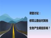 冀人版科學(xué)三下第3單元第13課-筑路影響生物生存 教學(xué)課件PPT+視頻